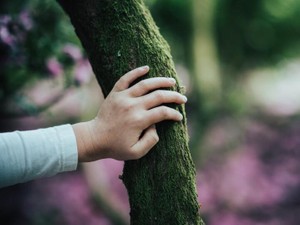 告白も友チョコも他人事。立ち位置を知った私が選んだバレンタイン