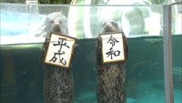 水族館でも改元を祝うショー　アザラシが「平成」「令和」掲げる　高松市
