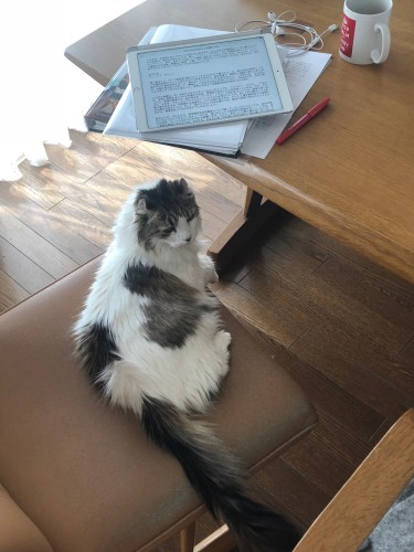 らくちゃんのトレードマークは右半身のハートの模様