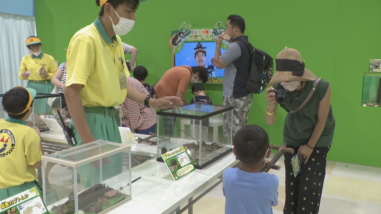 世界のカブトムシなど約50種類 昆虫と触れ合えるイベントが開催中 岡山 玉野市 Ksbニュース Ksb瀬戸内海放送