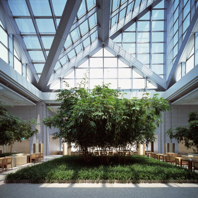 ためらわない美のホテル<br>パーク ハイアット 東京が選んだ<br>全く新しいリニューアルの姿【前編】