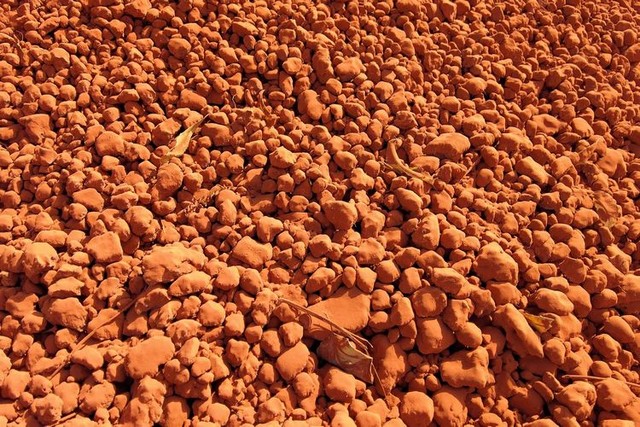 土れんがの材料となるラテライト＝2023年12月23日、セネガル西部、荒ちひろ撮影