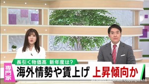 ２０２４年度も物価の高止まりや上昇傾向が続く　専門家