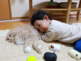 ２歳差育児で愛猫にかまえず、手放すことを考えた女性　最後に出した結論とは？