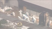 新たに鳥インフルが発生した三豊市の養鶏場