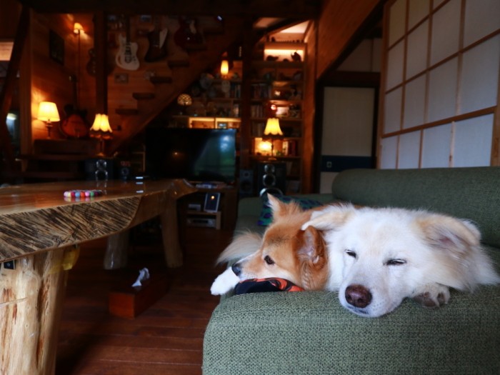 8/5〜16まで長い盆休みになった