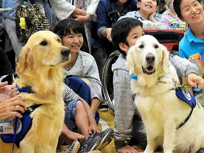 神奈川県立こども医療センターのベイリーの引退式