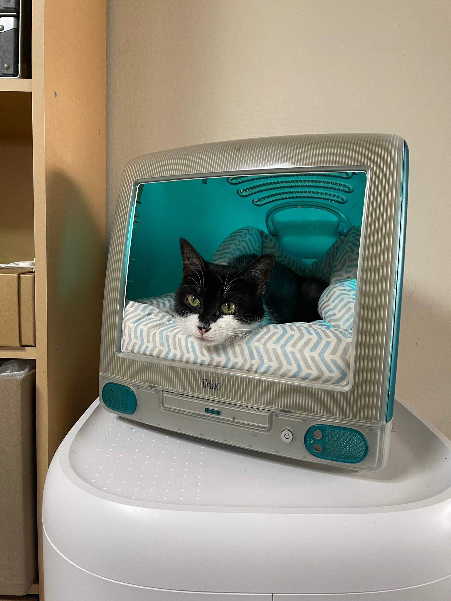 初代iMac リメイク キャットハウス 青（簀子仕様）-