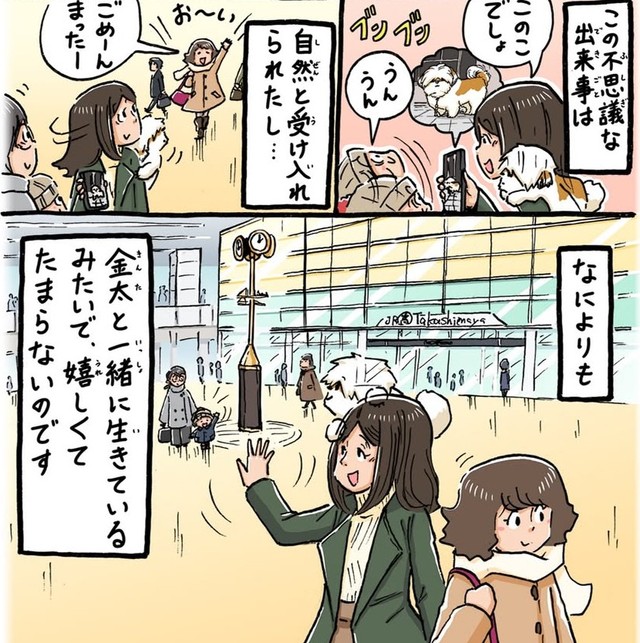 金太は今も一緒にいてくれている（シーズーマンガ「あうんのてんぽ」作者さん提供）