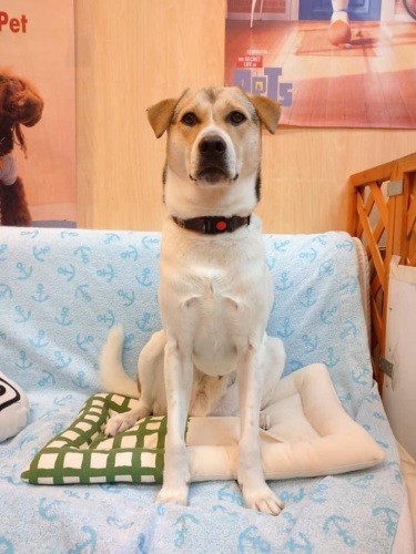 「はい、僕がうしおです」まじめか！（かずきさん提供）