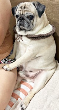 貴族感あふれるムーさん（画像提供：ムーさん）
