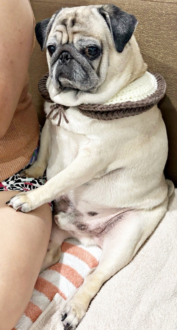 貴族感あふれるムーさん（画像提供：ムーさん）