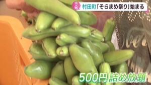 宮城・村田町で恒例のそらまめ祭り　多くの人が買い求める