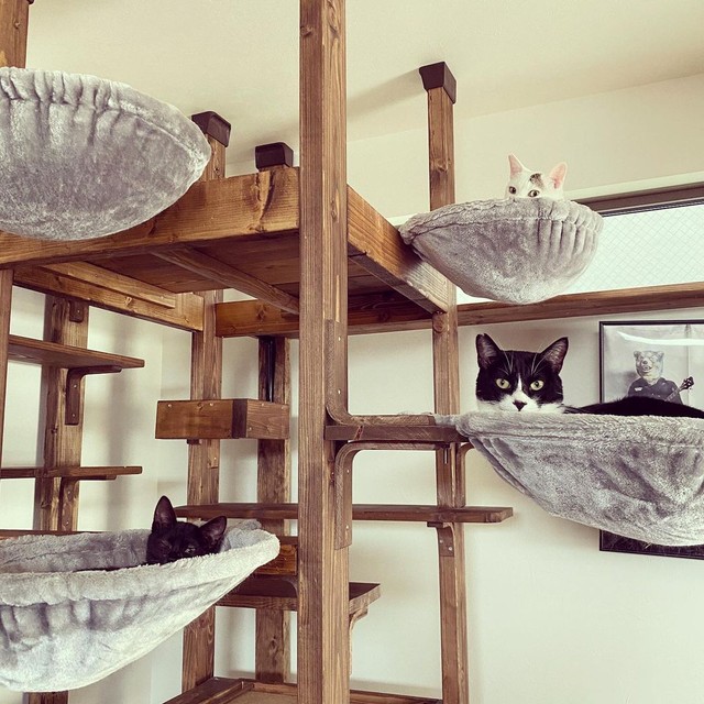 思い思いの場所でくつろぐ