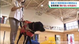 盲導犬の役割や障害者との関わりを学ぶキャラバン　宮城・松島町