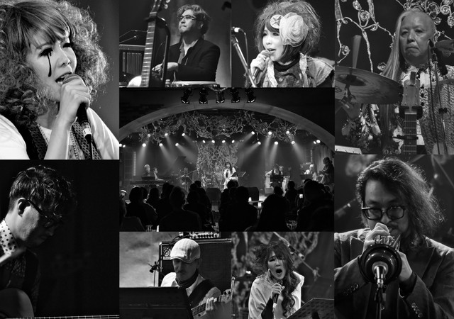 伊香桃子&猫の手も借りたい（撮影：ドカチンさん）