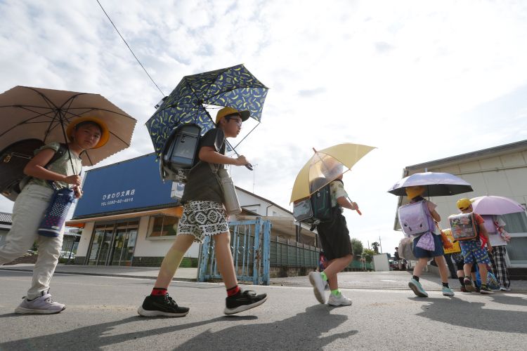 日傘をさして集団登校する児童