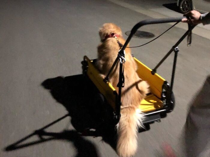 ビオラ号に乗って巡回中