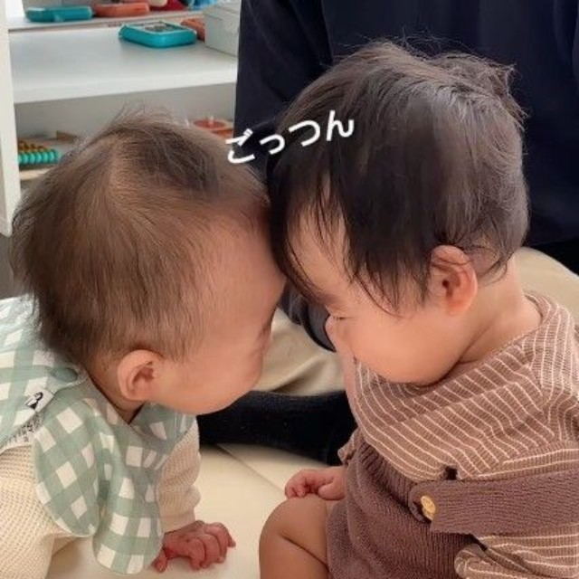 近寄り合い「ごつんっ」と再会の挨拶♡（提供：＠haruhina_twins_さん）