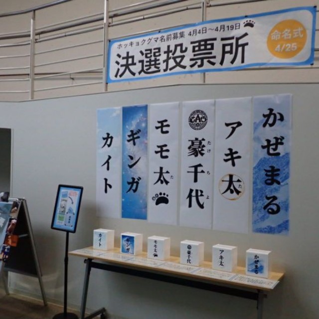 公募された愛称候補から６つで決選投票＝男鹿水族館GAO提供