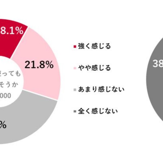 高市政権が掲げる「責任ある積極財政」の考え方のもと、2026年は「お金を使っても大丈夫そうか」「ボーナスや給与が上がりそうか」（出典：「Pontaリサーチ」調べ）