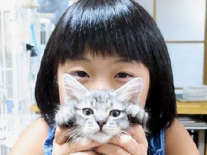 「猫は親友！」９歳の“猫保護活動”少女が思い描く大きな夢