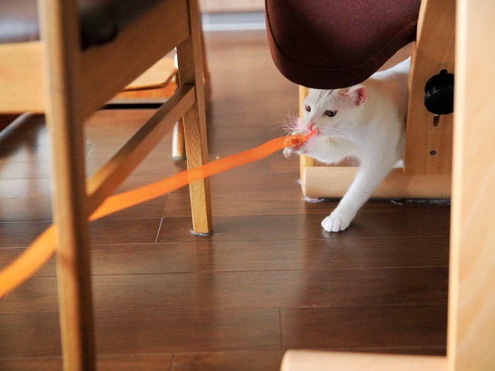 引き込まれるー。