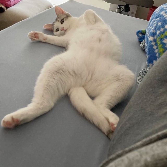 リラックスし過ぎのきゅうちゃん
