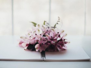 部活の先輩への恋心をつづった秘密のノートは、私が書くことの原点