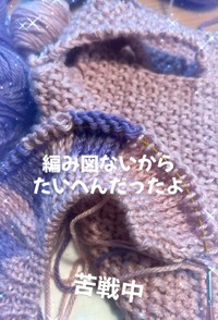 編み途中のラプンツェル衣装／taatan_amuamuさん（@taatan_amuamu）提供