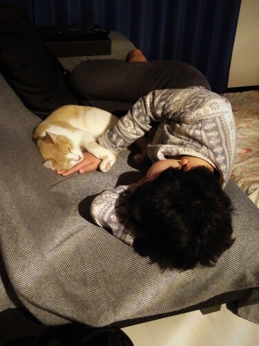 ゆうごお兄ちゃんの手枕でスヤスヤ（N家提供）