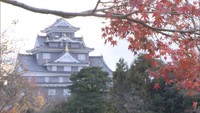 漆黒の岡山城と圧巻のコラボ…！　岡山後楽園の紅葉が見頃