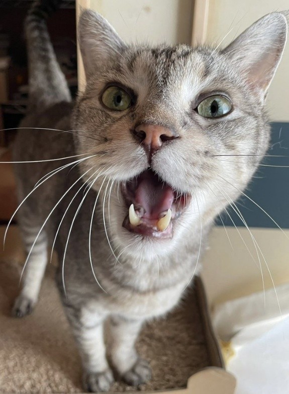 まだまだ元気な18歳