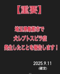 埼玉県飯能市で犬レプトスピラ症が発生（福本さん提供。Instagramよりキャプチャ撮影）