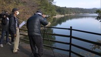 ため池などで野鳥を調査