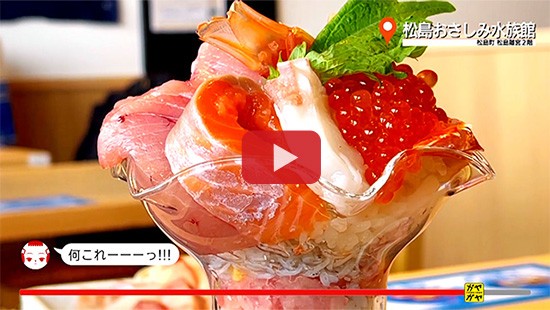 #678松島おさしみ水族館②