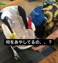 空っぽのバウンサーを右足で揺らすママ…（提供：滝沢たきおさん）