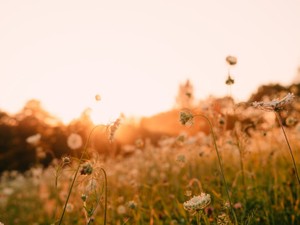 みんな仮面をつけた私しか知らないから、誤って外してしまったときの周りの反応が怖い