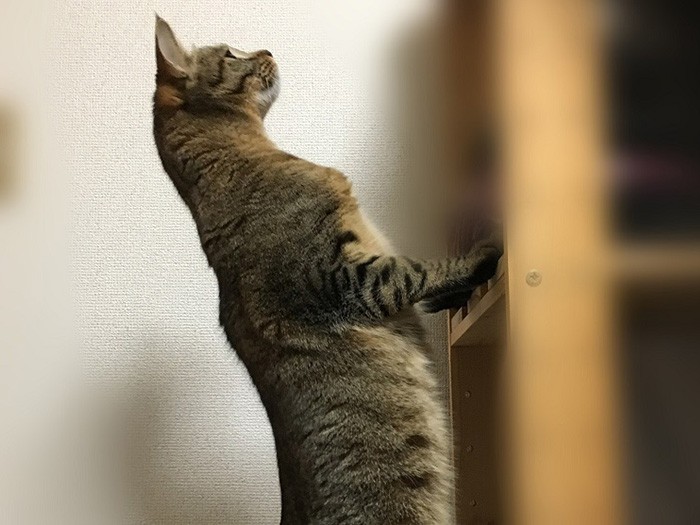 好奇心いっぱい！