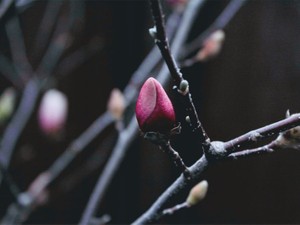 虐待された過去からのリベンジ。大学を卒業し、自活して生きていく