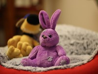 生活の質を向上させた、コロナ禍のショッピングモールでの出会い