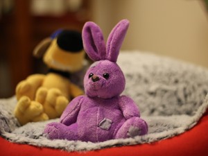 生活の質を向上させた、コロナ禍のショッピングモールでの出会い