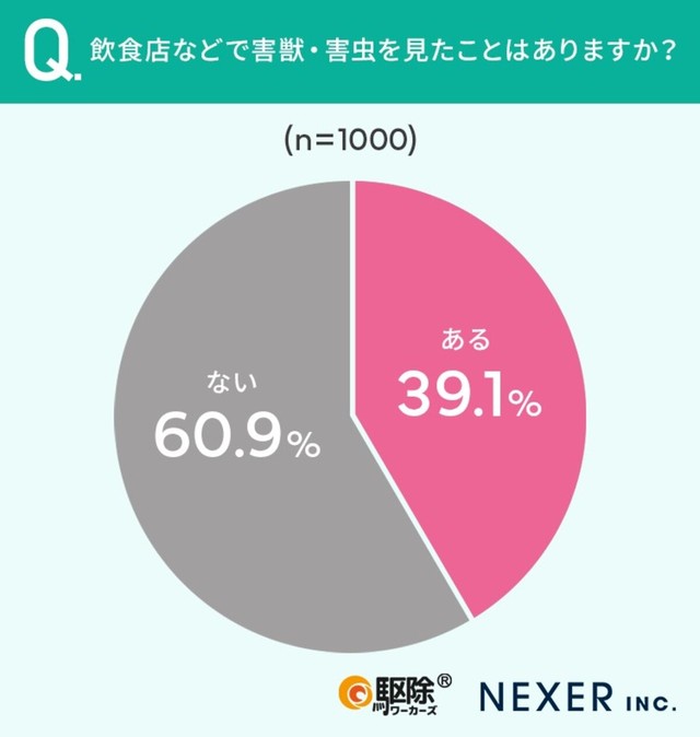 飲食店などで害獣・害虫を見たことはありますか？（提供画像）