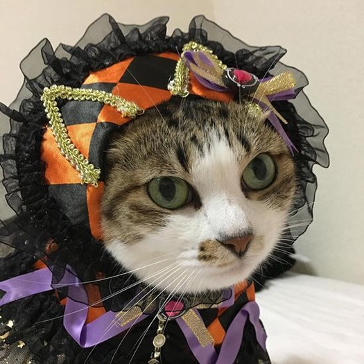 ママと一緒にハロウィン！