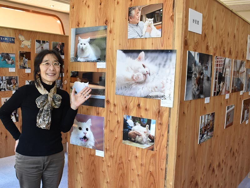 「個性的な看板猫たちに会いに来て下さい」と話す西村理恵さん