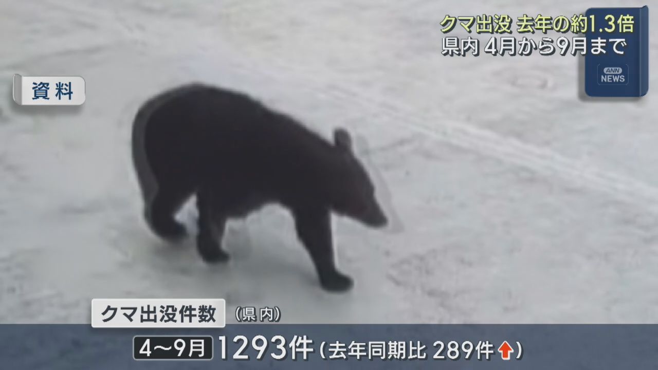 クマ出没件数は前年同期の１．３倍　宮城県の４〜９月　秋の行動活発化に注意しクマ対策の徹底を