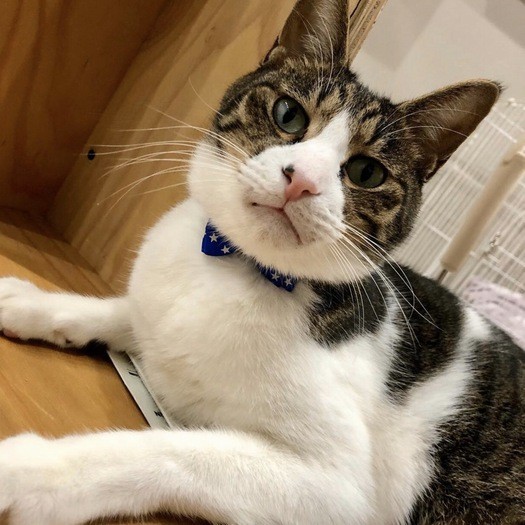 すっかり辻本さんに心を許していた