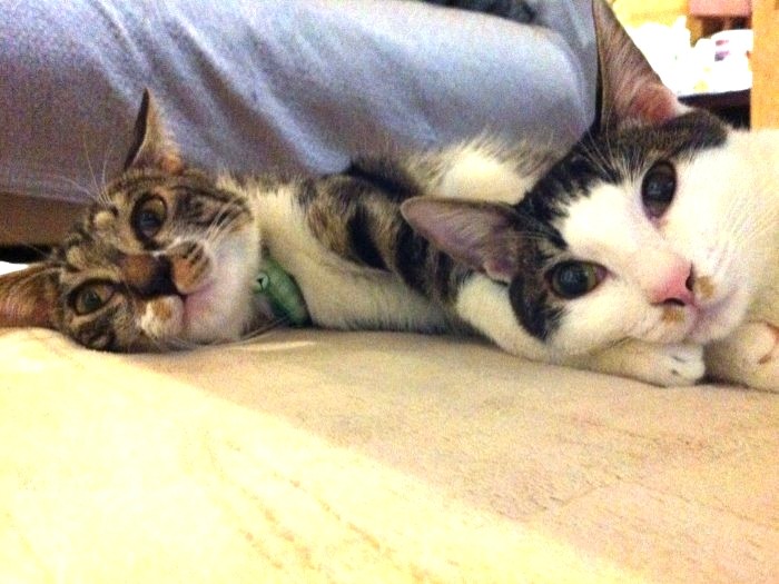 ずっと仲よしな姉妹（でもサボが退院した時には、誰？とワッポが遠巻きに見ていたそう）