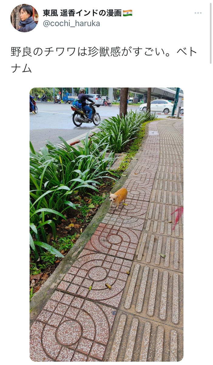 東風遥香さんのツイート（画像はスクリーンショット）