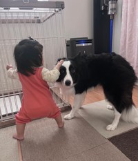 カメラ目線でも茫然とするエマちゃん（提供：エマ/Emma🐾さん）